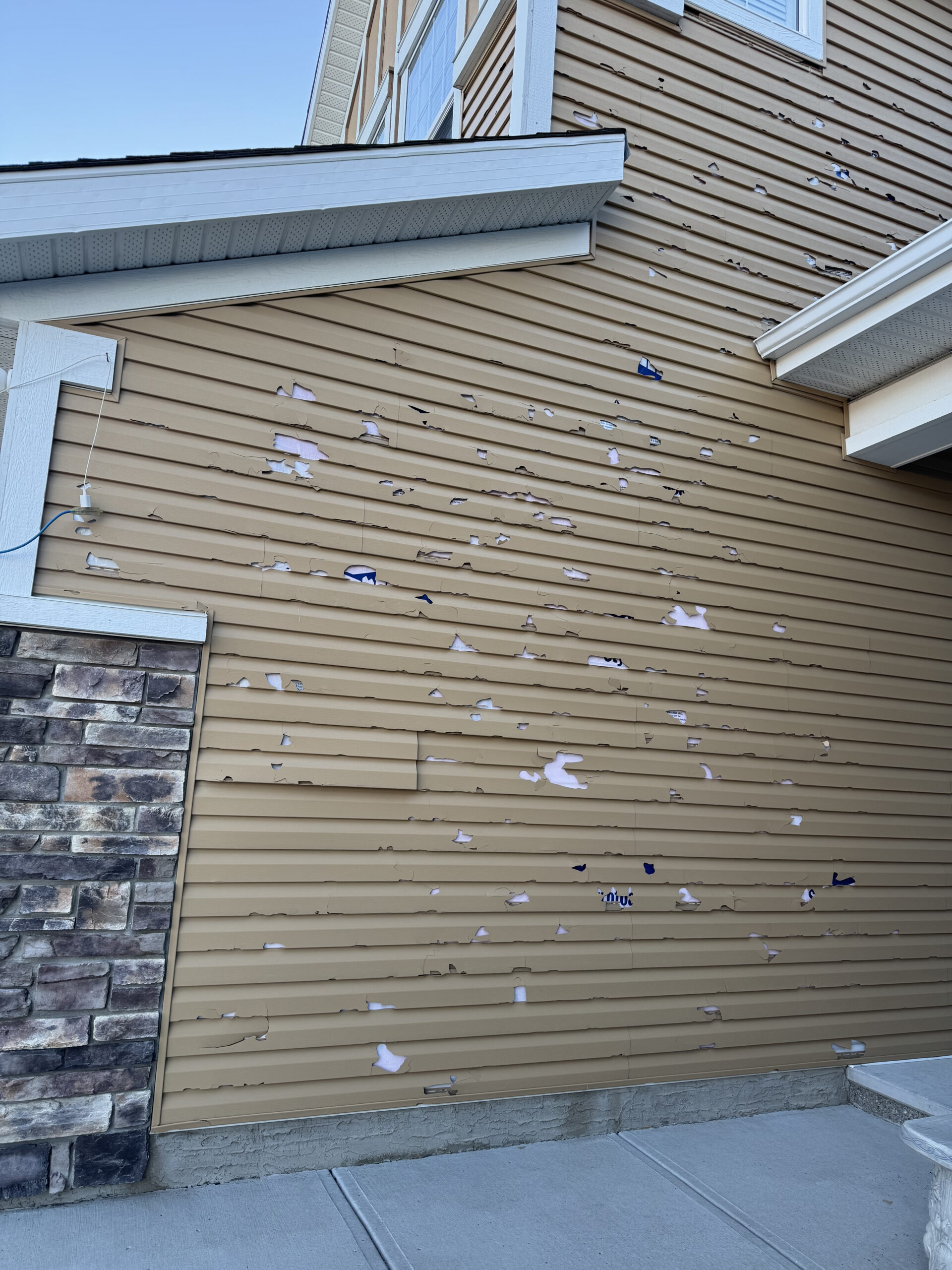 Vinyl house siding with multiple holes and cracks caused by a recent hailstorm.